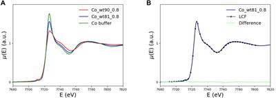 Metal Ion Binding in Wild-Type and Mutated Frataxin: A Stability Study